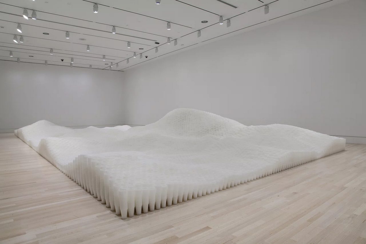 Tara Donovan, Untitled (Plastic Cups), 2006, plastic cups, dimensions variable
