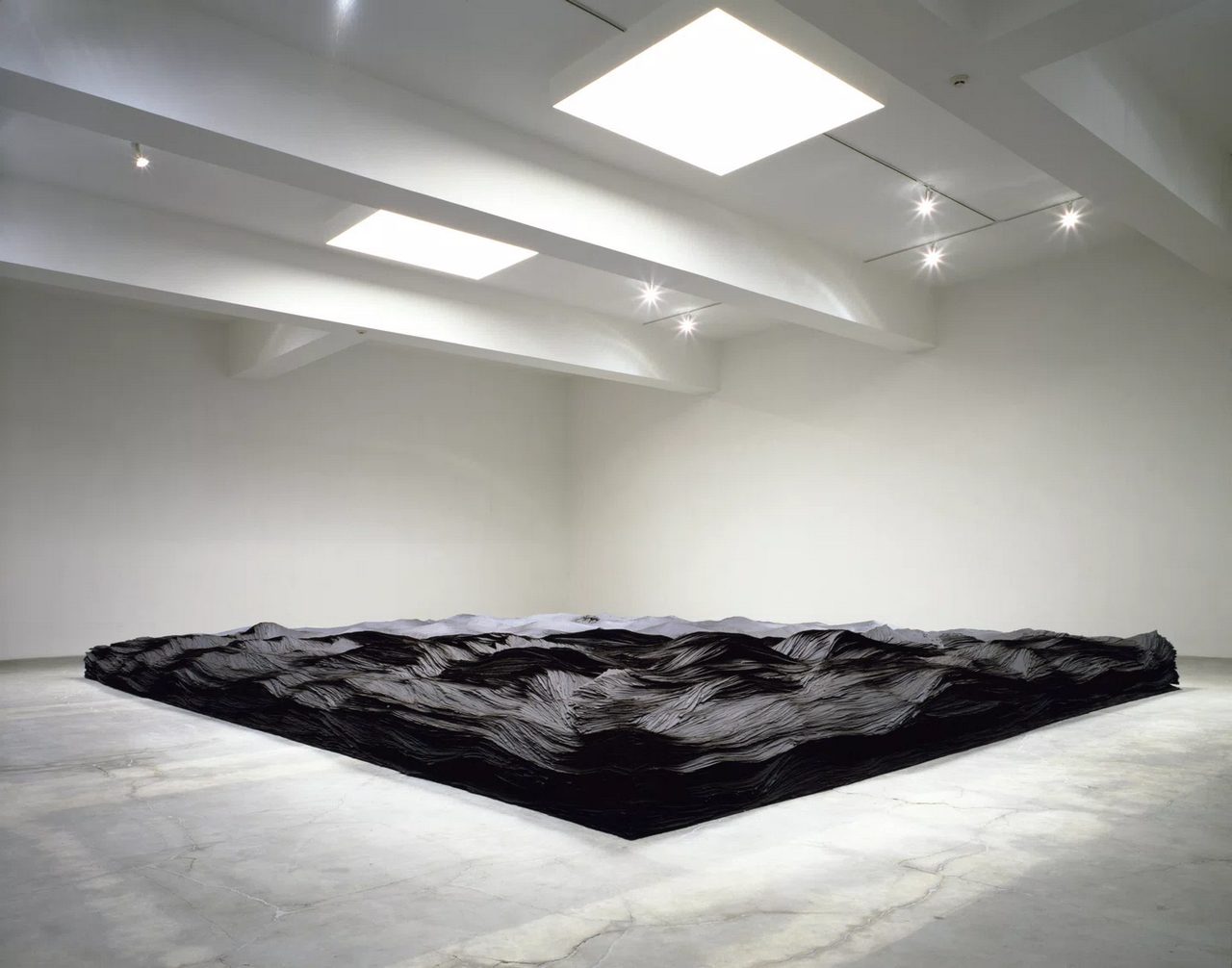 Tara Donovan, Transplanted, 2001, tar paper, 4' x 40' 4" x 50' (121.9 cm x 1,229.4 cm x 1,524 cm)