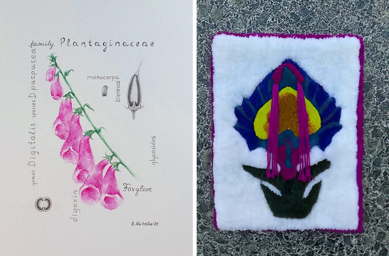 Left: Varvara Maltezou, Crocus Sativus, 2025, Watercolour pencils, pencil,13 X 18 cm / 21 X 30 cm (framed)Right: Nely Rizou, Βlooming heart, 2025, Acrylic yarns, 30 x 40 cm