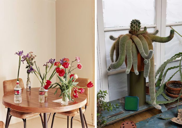 left: Wolfgang Tillmans, Flowerhead, 2001, Courtesy Galerie Buchholz, Galerie Chantal Crousel, Paris, Maureen Paley, London, David Zwirner, New York right: Wolfgang Tillmans, My 25 Year Old Cactus, 2023. Courtesy Galerie Buchholz, Galerie Chantal Crousel, Paris, Maureen Paley, London, David Zwirner, New York