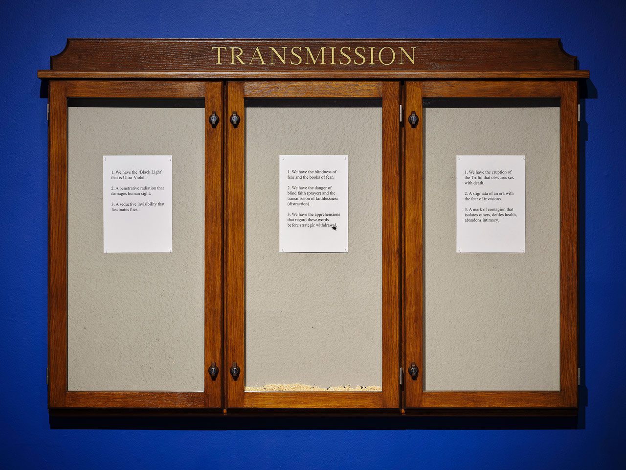 Installation view, Hamad Butt, “Fly-Piece” from “Transmission”, 1990. Featured in exhibition Hamad Butt: Apprehensions (6/122024 – 5/5/2025), IMMA – Irish Museum of Modern Art, Dublin, Ireland. Photo Ros Kavanagh