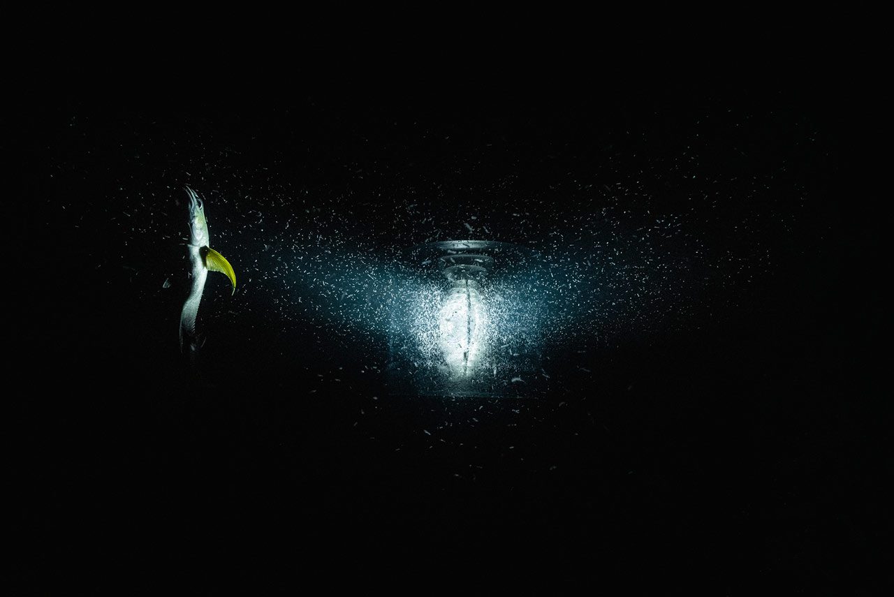 Julian Charrière, Midnight Zone (Video Still), 2024, © 2025 ProLitteris, Zürich; Copyright the artist