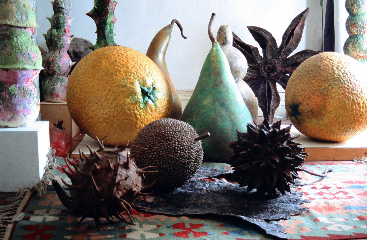 Ming Fay, Studio Photograph: Hybrids, Fruit, Seeds, 1990s. Photograph. Private Collection