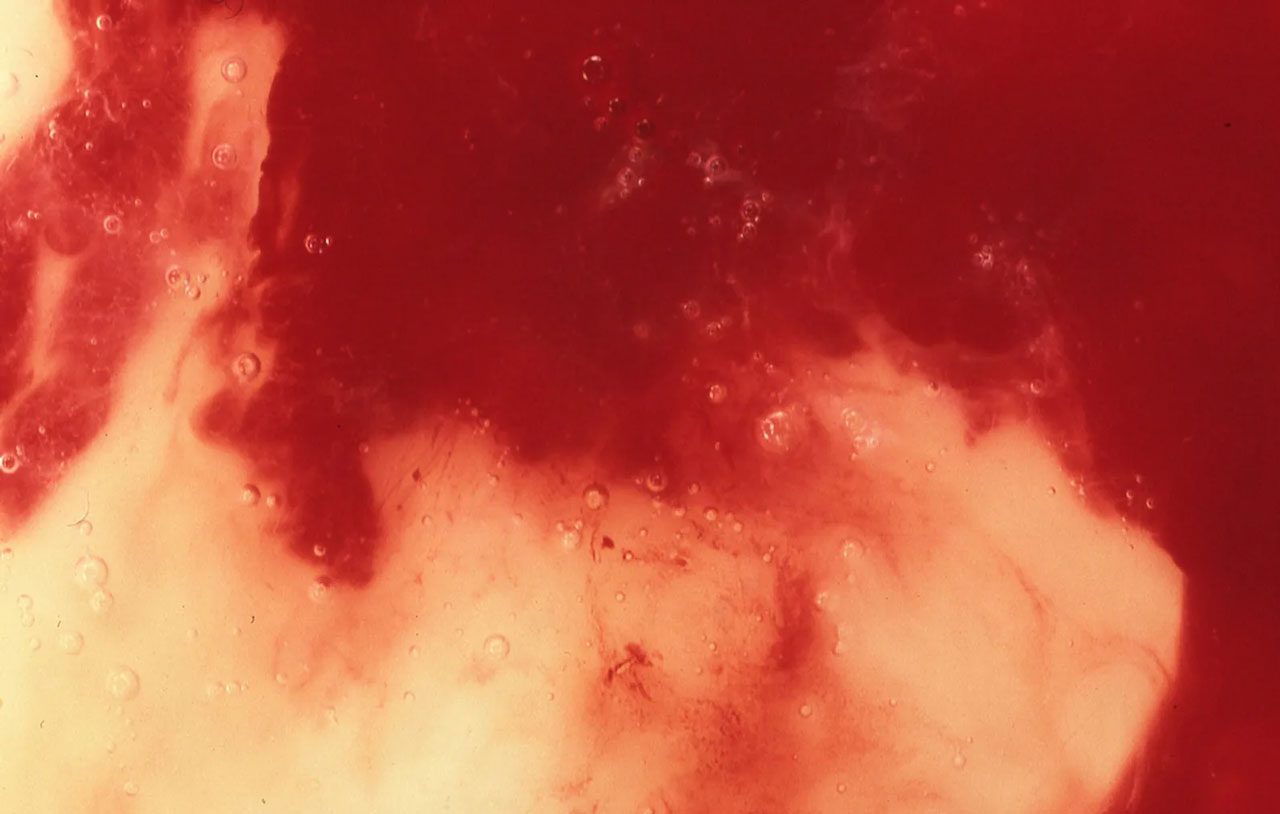 Andres Serrano, Blood and Semen III (Bodily Fluids), 1990, Pigment print, back-mounted on dibond, wooden frame, 83,4 x 115,3 x 3,5 cm (32 13/16 x 45 3/8 x 1 3/8 inches), Edition of 10 + 2 AP, © Andres Serrano, Courtesy the artist and Galerie Nathalie Obadia