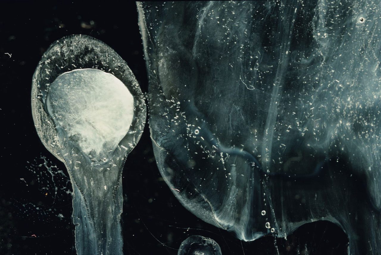 Andres Serrano, Frozen Sperm II (Bodily Fluids), 1990, Cibachrome, silicone, plexiglass, wood frame, 114,3 x 165,1 cm (45 x 65 inches), Edition of 4 + 2 AP, © Andres Serrano, Courtesy the artist and Galerie Nathalie Obadia