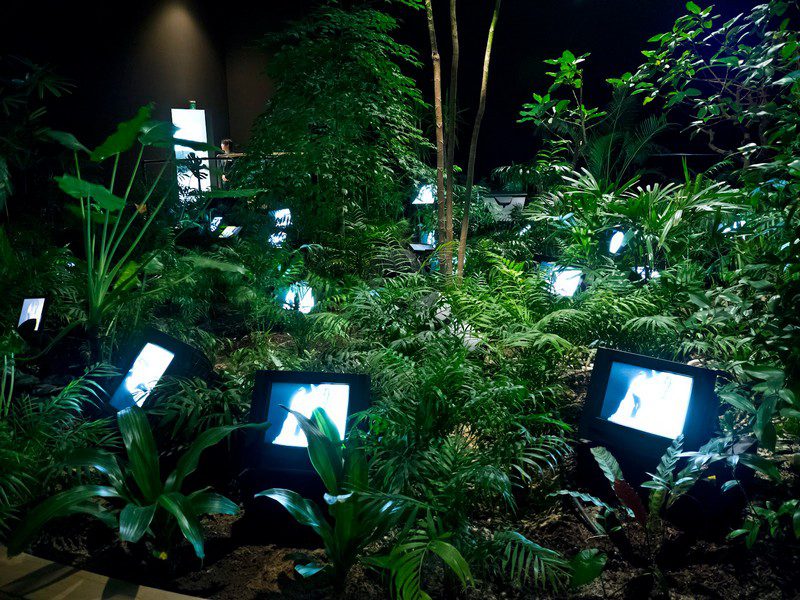 Nam June Paik (20/7/1932-29/1/2006)