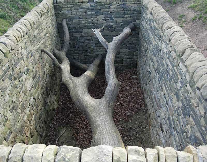 Andy Goldsworthy (26/7/1956- )