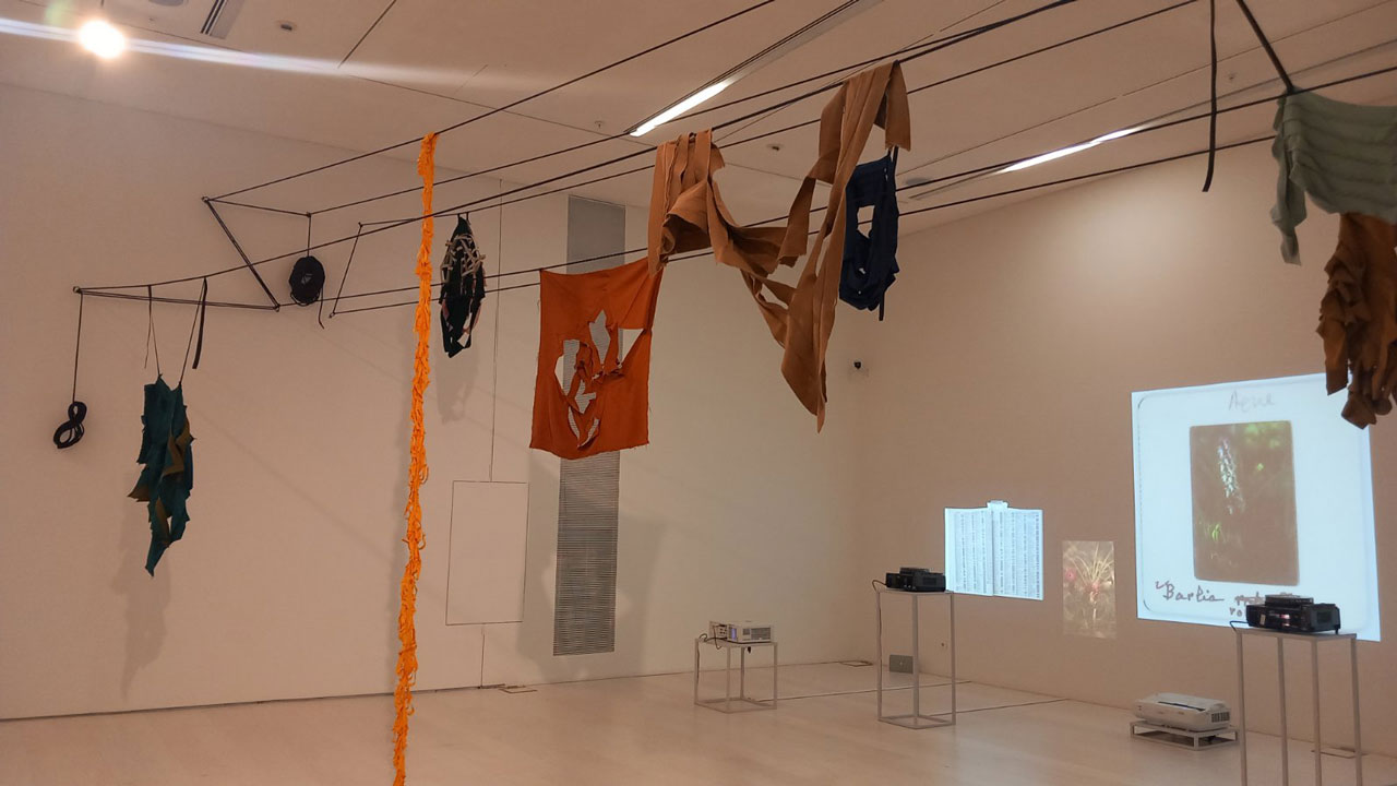 Hosts & Parasites (2025), Dora Economou