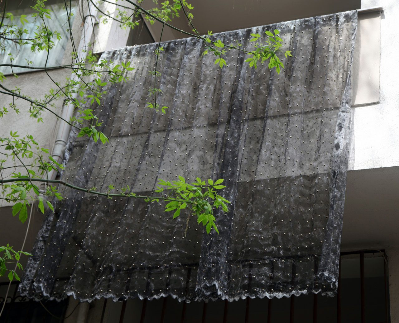 Neriman Polat, 'Tulle with Chickpeas from the series Tulle', 2023, C-print, 50 x 70 cm, © Neriman Polat, Courtesy the artist and Zilberman Gallery Belin-Istanbul