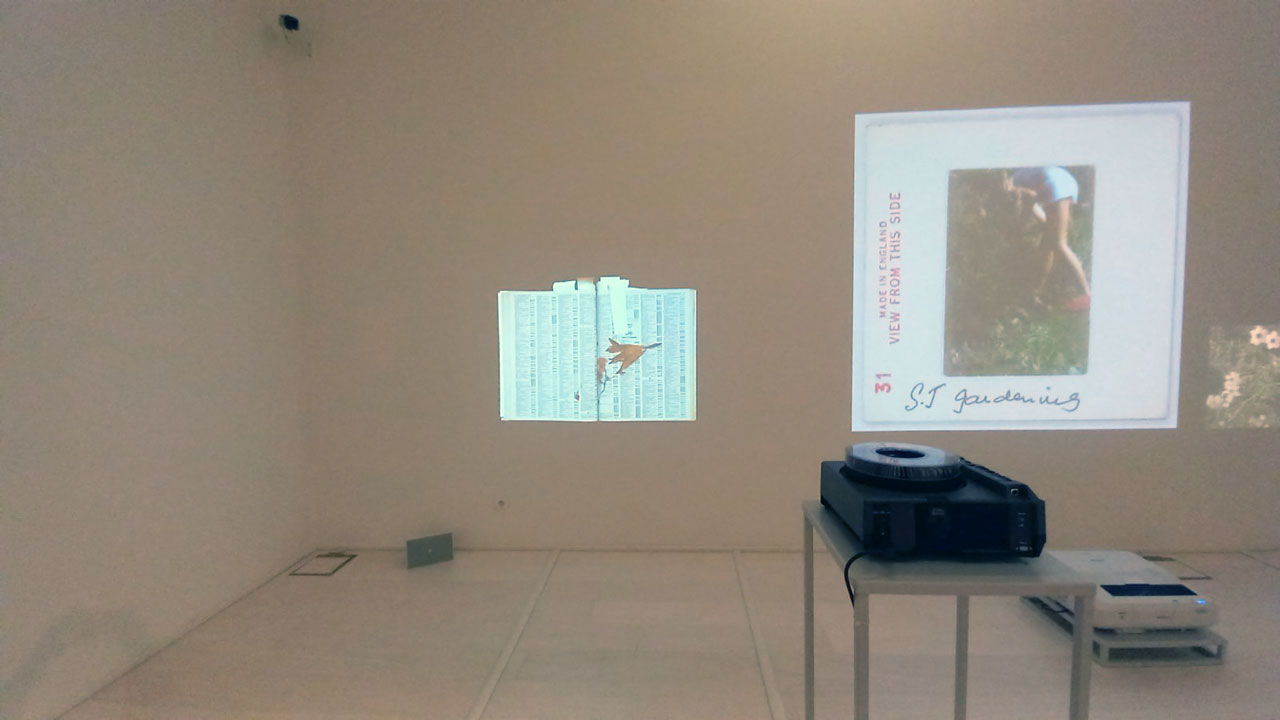 Tools for Cataloguing a Dry Garden (2025), Catriona Gallagher