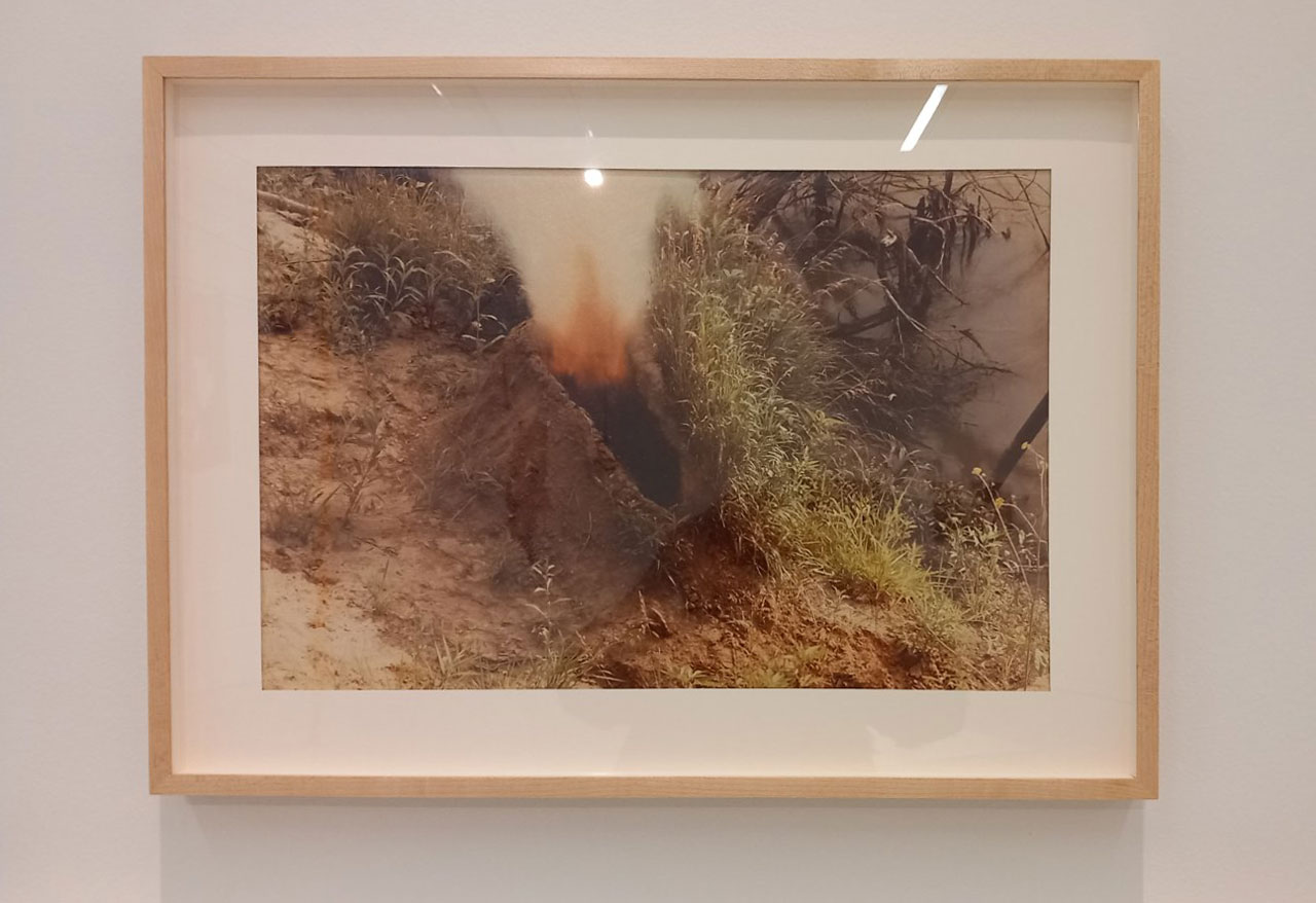 Ana Mendieta, Volcano Series, 1979,