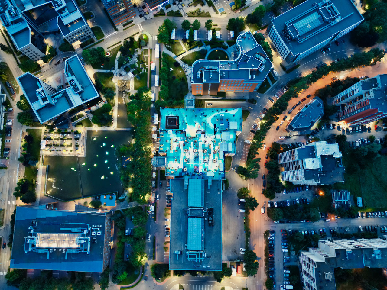 Concrete to Culture © The Collective Foundation