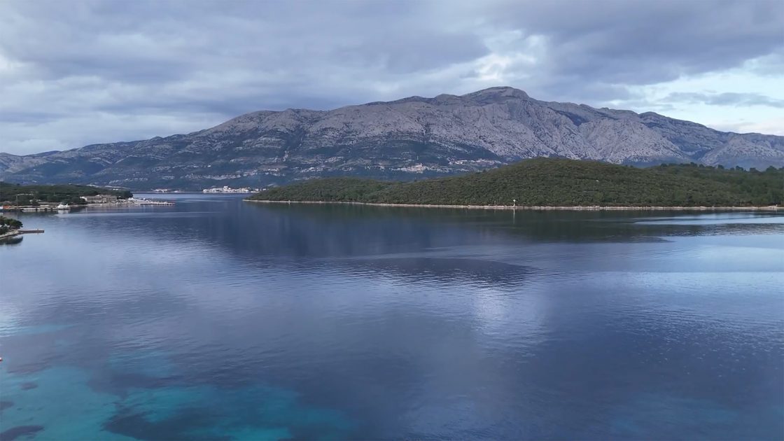 Hito Steyerl, Image CC 4.0. Courtesy of the artist, Andrew Kreps Gallery, New York and Esther Schipper, Berlin/Paris/Seoul