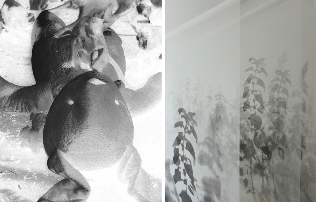 Left: Korakrit Arunanondchai, Love after Death (still), 2025. Courtesy of the artist Right: Fatma Abdulhadi, What Remains… Stay as Long as You Can, 2025. Silkscreen print on transparent mesh, steel suspension structure, basil, 18 prints, 400 x 90 cm each. Courtesy of the artist