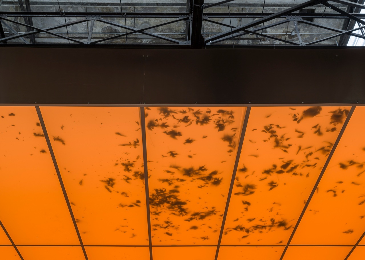 Álvaro Urbano, TABLEAU VIVANT (detail), 2024-25, installed at Sculpture Center, New York. Courtesy of the Artist; SculptureCenter, New York; ChertLüdde (Berlin); Travesia Cuatro (Madrid, Mexico City, Guadalajara). Photo: Charles Benton