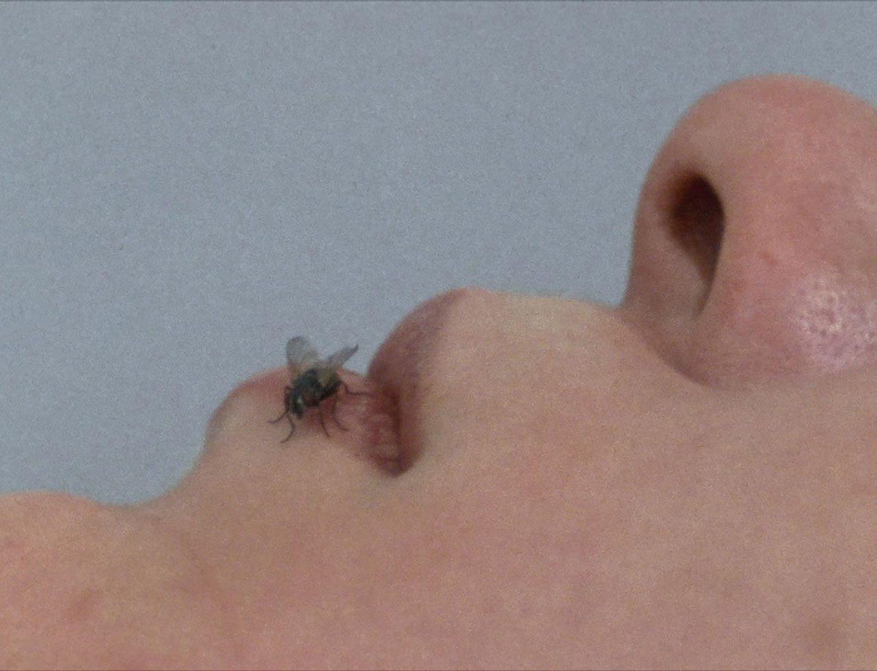 Yoko Ono, FLY, 1970-1971, 16mm color film and mono sound, transferred to video, Directed by Yoko Ono and John Lennon, Score and concept by Yoko Ono, Soundtrack by Yoko Ono and John Lennon, Duration: 25’, © Yoko Ono, Courtesy the artist and MUSAC (Museo de Arte Contemporaneo de Castilla y Leon)