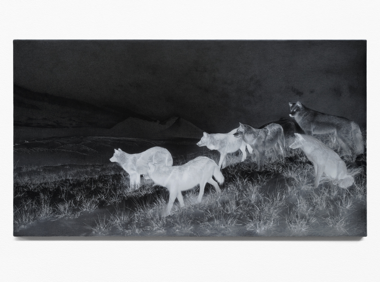 Jelena Bulajić, After Sugimoto, Alaskan Wolves, 2024, Acryl, Farbstift, Graphit auf Leinwand / acrylic, colou- red pencil, graphite on linen canvas, 32,4 x 58,2 cm. Courtesy of the artist and carlier | gebauer, Berlin/Madrid. Foto / Photo: Jelena Bulajić