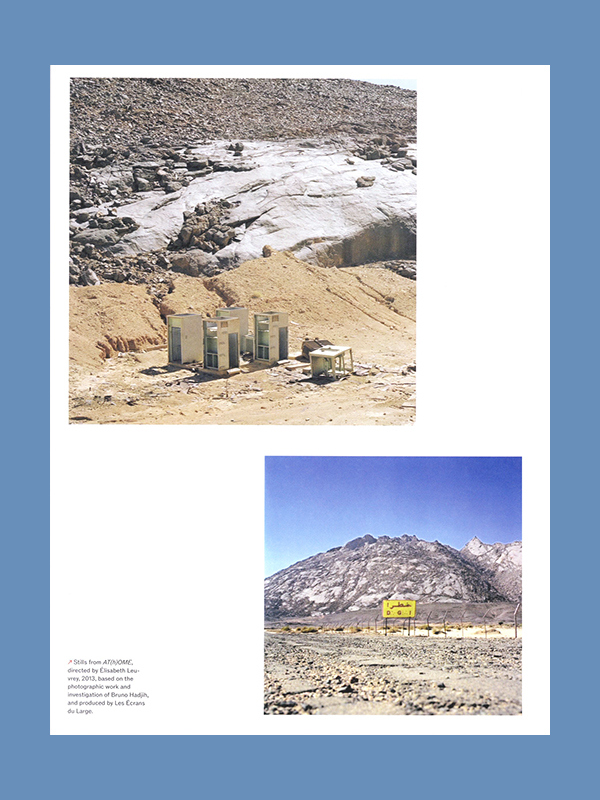 Sick Architecture, MIT Press