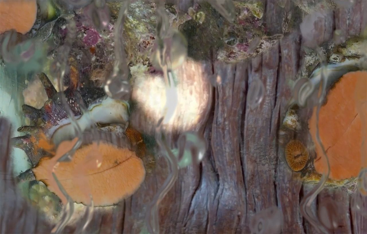 Jane and Louise Wilson, Countermeasures, Installation view, Skulpturenhalle I Thomas Schütte Foundation, 2026, Courtesy the artists and Skulpturenhalle I Thomas Schütte Foundation