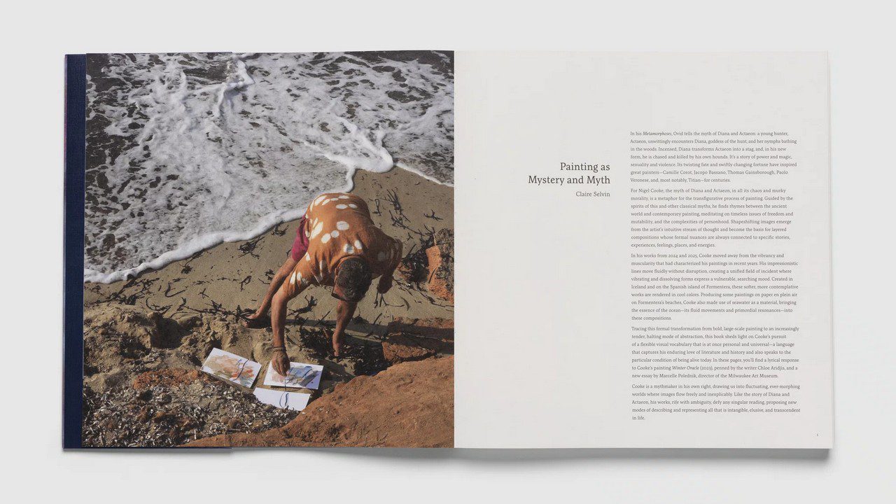 Nigel Cooke, Paintings 2019-2025, Pace Publishing