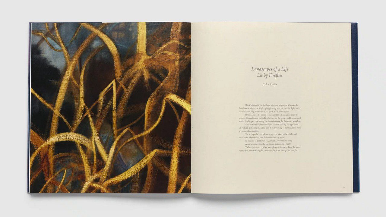 Nigel Cooke, Paintings 2019-2025, Pace Publishing