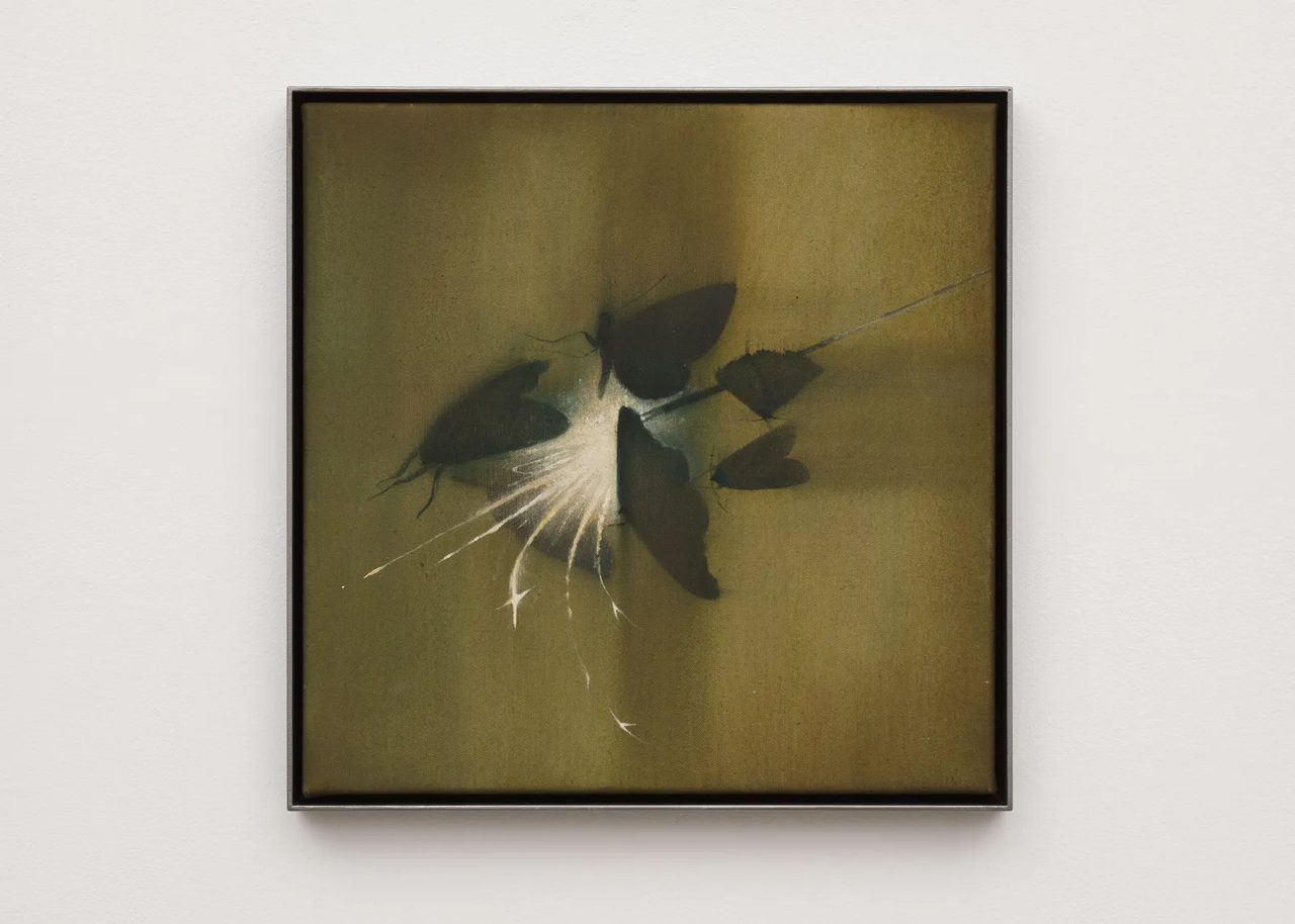 Anna Ruth, Sparkler, 2026, Acrylic on canvas in steel frame, 35 x 35 cm | 13 3/4 x 13 3/4 in, Framed: 36.5 x 36.5 x 3 cm | 14 3/8 x 14 3/8 x 1 1/8 in, © Anna Ruth, Courtesy the artist and GRIMM Gallery