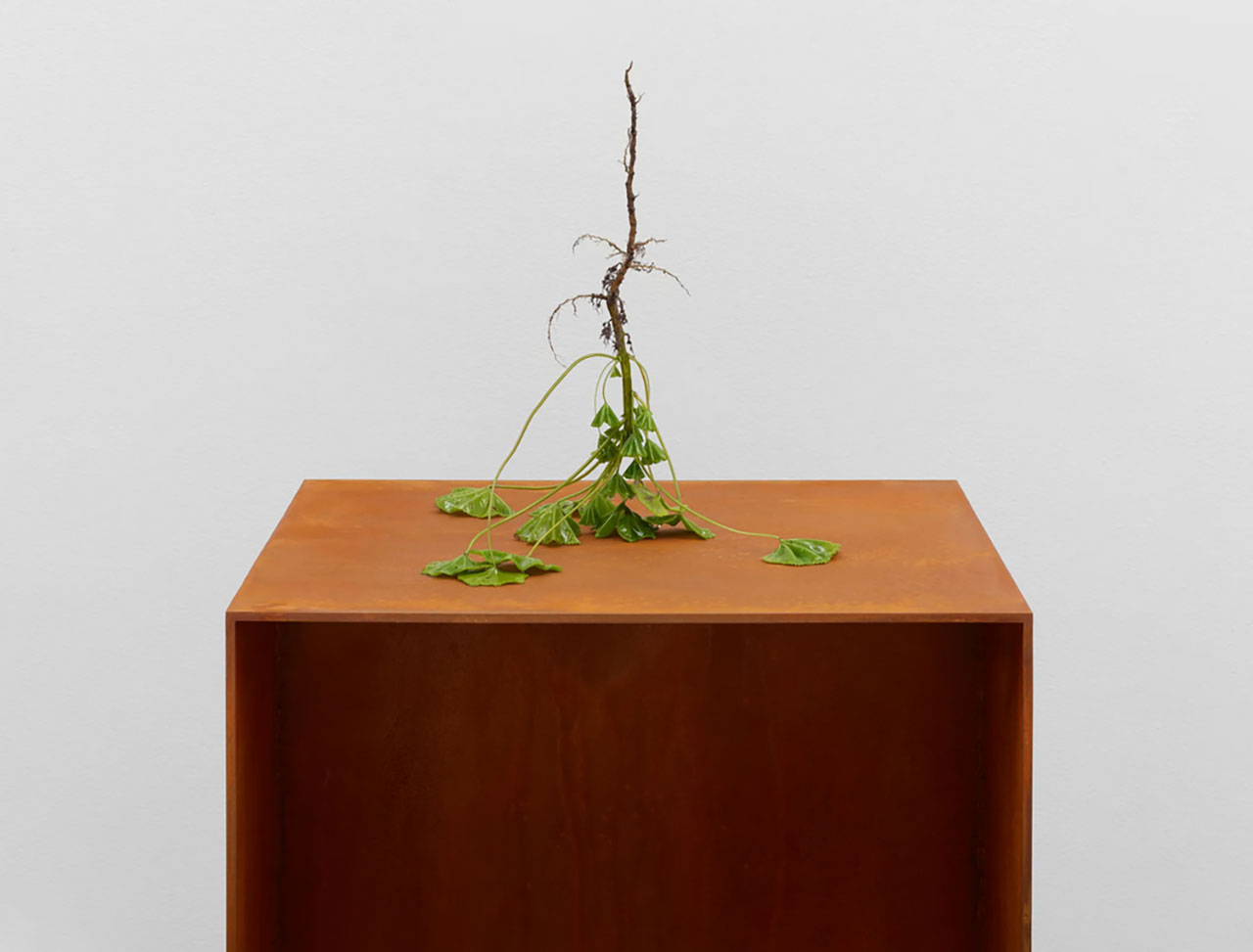 elly Akashi, Root Inversion (Mallow), 2026 Flame-worked borosilicate glass, weathering steel, 35.6 x 35.6 x 35.6 cm, © Kelly Akashi, Courtesy the artist and Lisson Gallery