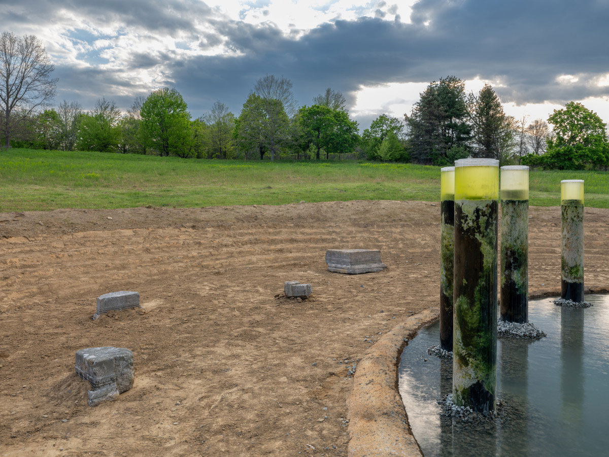 Anicka Yi, Message from the Mud, 2026, installation view, Storm King Art Center, © Anicka Yi, Courtesy the artist and Storm King Art Center