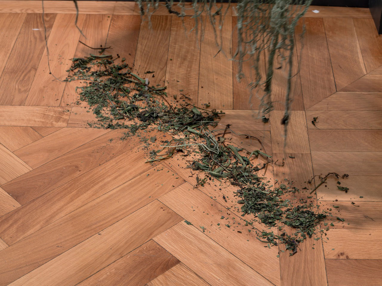 Eşref Yıldırım, Kamuflaj / Camouflage (detail), 2025, Installation (net, plants, soil), 195 x 115 cm, © Eşref Yıldırım, Courtesy the artist and Zilberman Gallery
