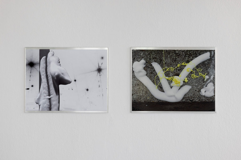 Peter Fischli, Installation view, Fridericianum, Kassel, 2026, Photo: Andrea Rossetti, © Peter Fischli, documenta und Museum Fridericianum gGmbH