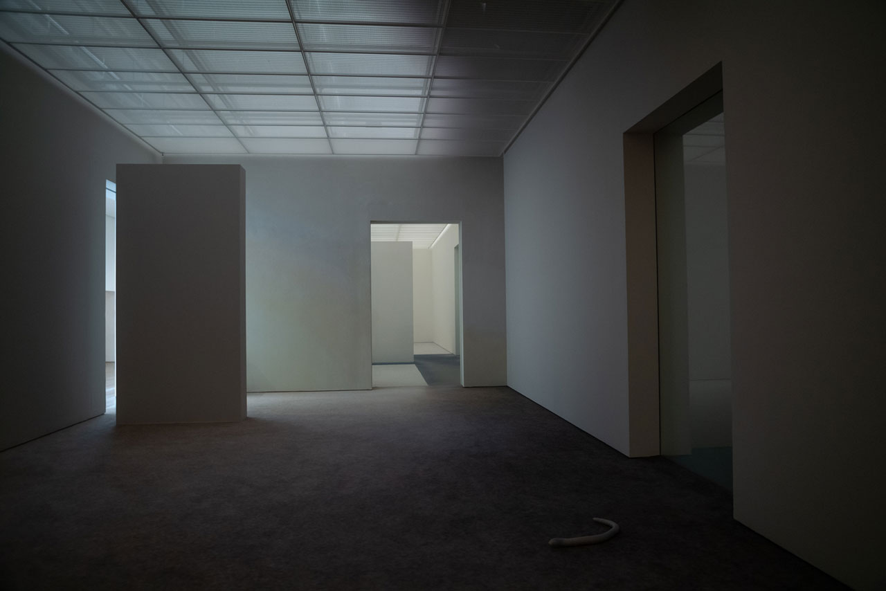 Installation view "Pierre Huyghe", Fondation Beyeler, Riehen/Basel, 2026, Photo: Ola Rinda, Courtesy the artist and Fondation Beyeler