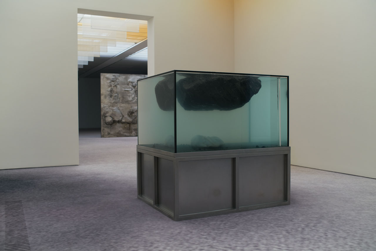 Installation view "Pierre Huyghe", Fondation Beyeler, Riehen/Basel, 2026, Photo: Ola Rinda, Courtesy the artist and Fondation Beyeler