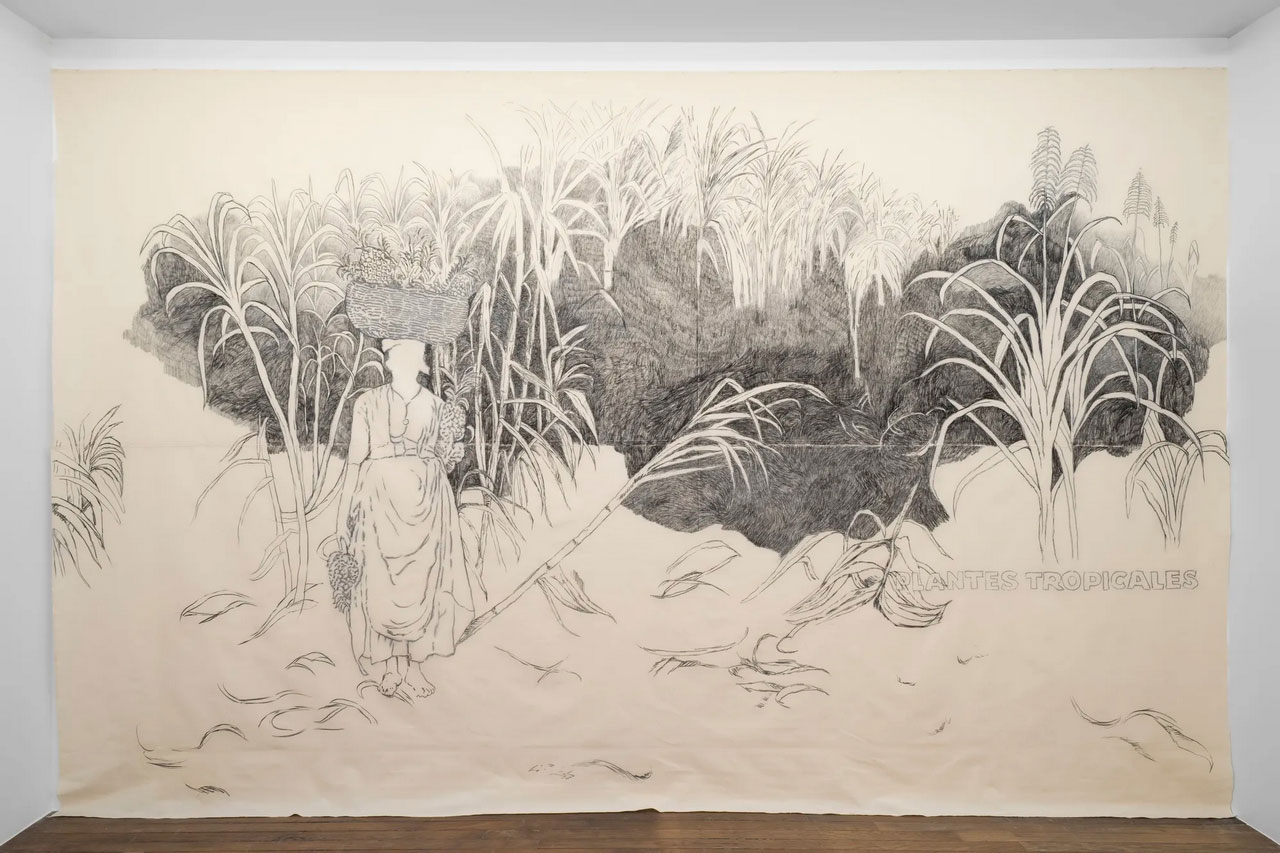 Ishita Chakraborty, Plantes Tropicales, 2026, Charcoal on 150 gsm uncoated cotton, 300 x 500 cm (118 x 196 ¾ in.)