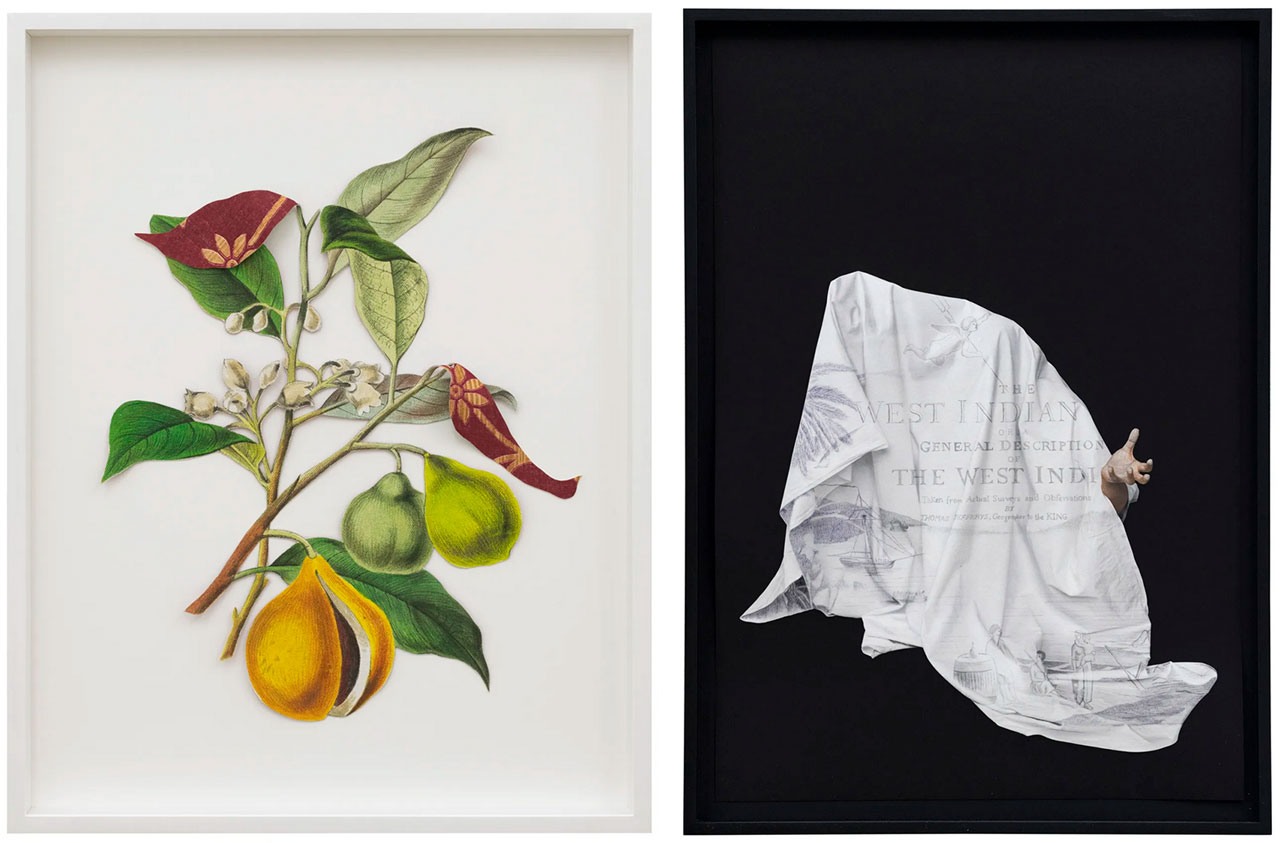 Left : Ishita Chakraborty, Where The Wild Things Roam XXI, Nutmeg, 2026, Acrylic on canvas pasted on cotton saree fabric, 48 x 36 cm (19 x 14 ¼ in.), 55.5 x 43.5 cm (21 ¾ x 17 ¼ in.), framedRight: Ishita Chakraborty, I Recall the Forest Inside Me XVI, 2026 , Hand colored archival pigment print on Hahnemühle agave paper, 56.1 x 38.9 cm (22 x 15 ¼ in.), 60.5 x 43 cm (23 ¾ x 17 in.), framed