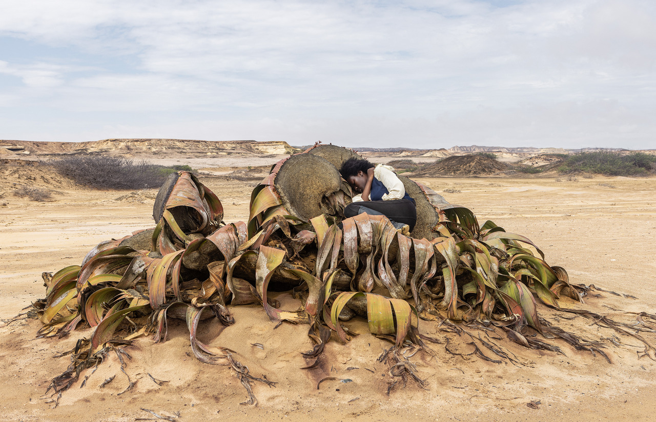 Monica de Miranda, Earthworks, 2024, courtesy the artist
