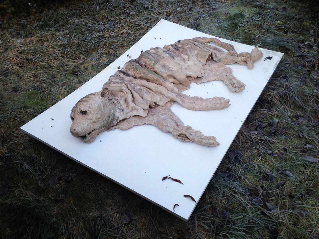 Andrea Scholze , Solbleket tiger (2014), Glazed stoneware, earth, plants, 45x150x100 cm, © Andrea Scholze