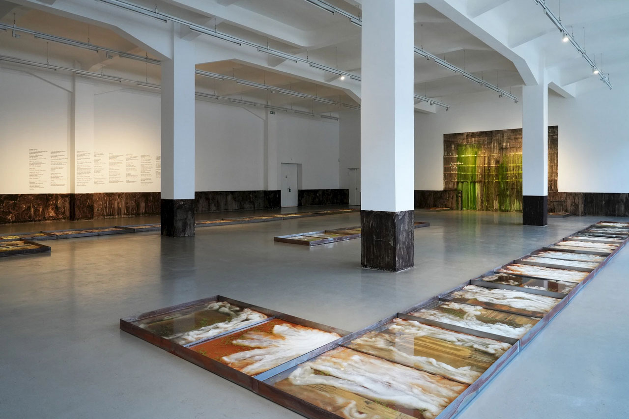 Melike Kara, Whispers, Installation view, Kunsthaus Hamburg-Hamburg, 2026, Photo: Jaewong Kim, Courtesy the artist and Kunsthaus Hamburg