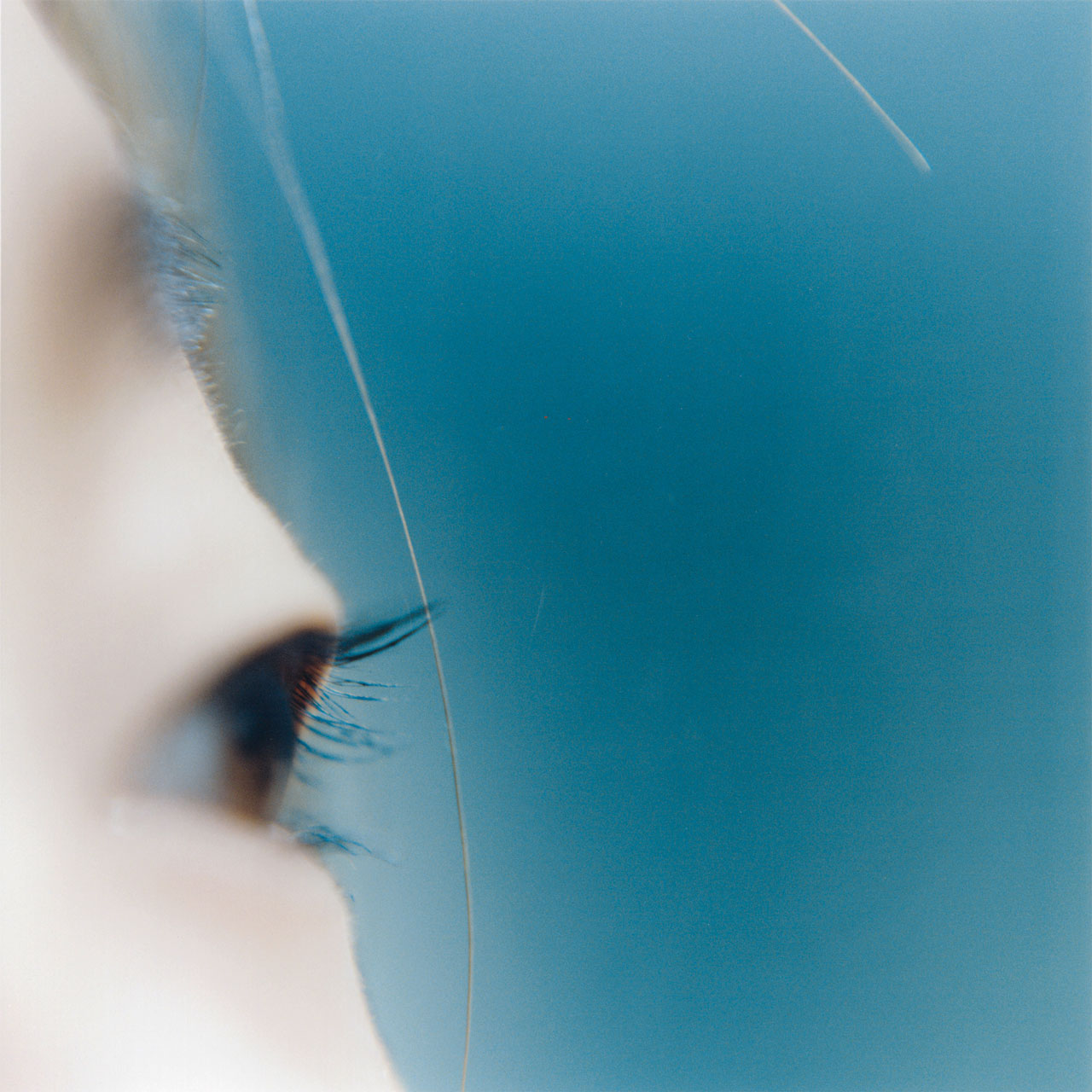 KAWAUCHI Rinko. Untitled, 2004; from the series the eyes, the ears. Courtesy the artist and Aperture