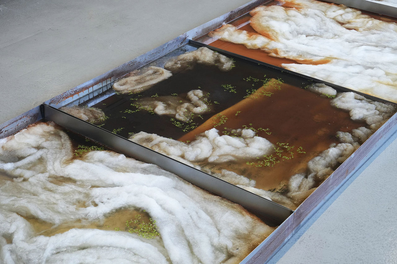 Melike Kara, Whispers, Installation view, Kunsthaus Hamburg-Hamburg, 2026, Photo: Jaewong Kim, Courtesy the artist and Kunsthaus Hamburg