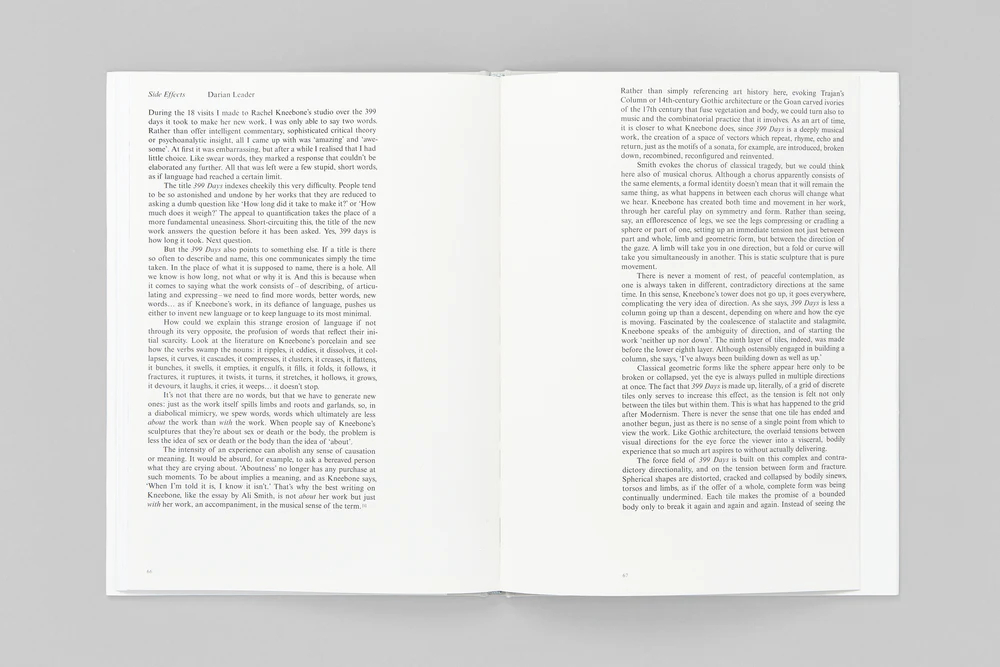 Rachel Kneebone, 399 Days, White Cube Books'