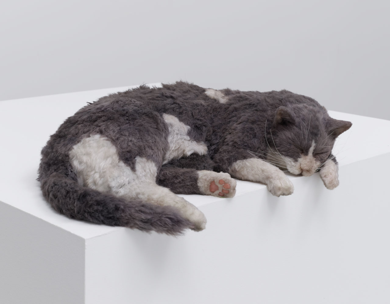 Ryan Gander, The Thermals Made Me Lazy, or The Squatters (Smoky Meet Monk’s Deflated Sculpture II (2009)), 2020, wood, latex, resin, synthetic fur, paint, animatronics, 10,2 × 50,8 × 34,3 cm, courtesy of the artist and Lisson Gallery. Photo: Jun Ho Lee