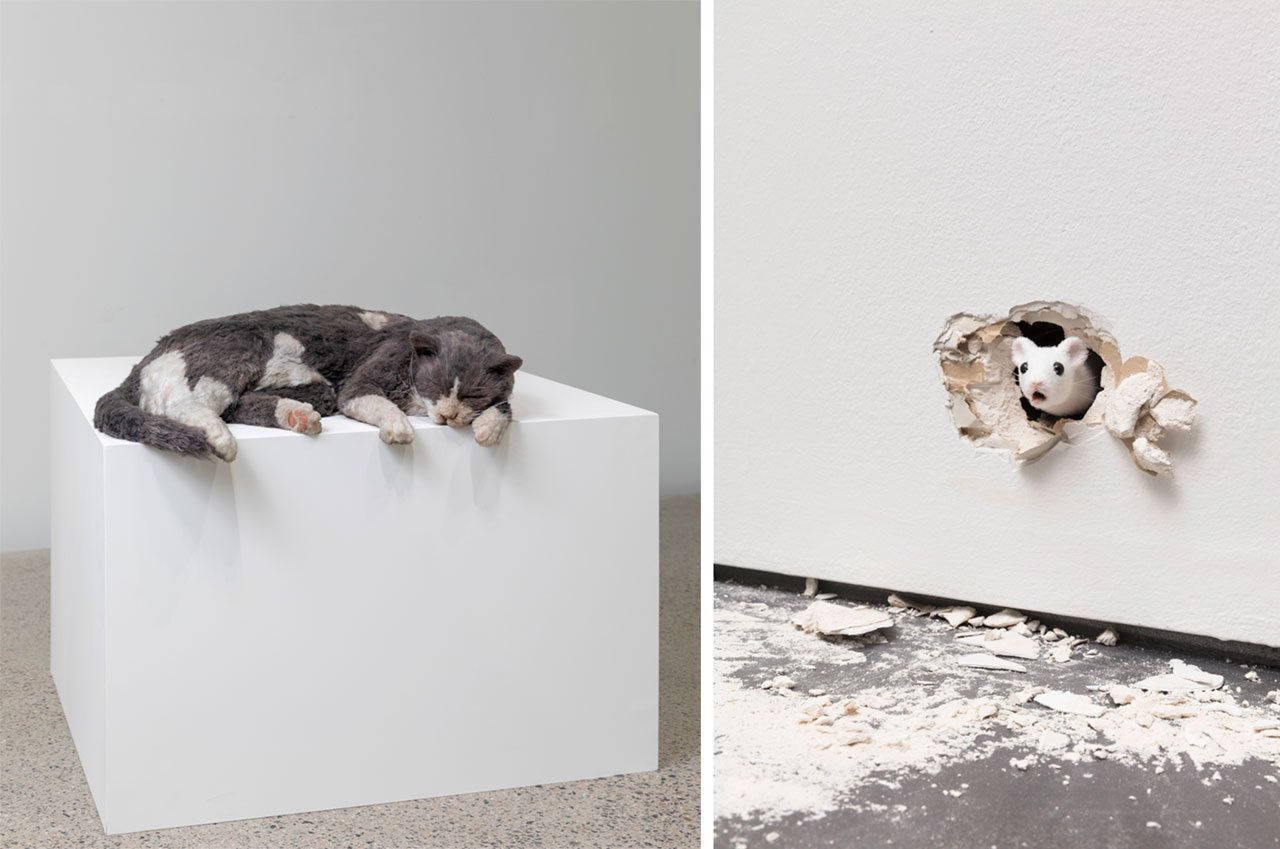 Left: Ryan Gander, The Thermals Made Me Lazy, or The Squatters (Smoky Meet Monk’s Deflated Sculpture II (2009)), 2020, wood, latex, resin, synthetic fur, paint, animatronics, 10,2 × 50,8 × 34,3 cm, courtesy of the artist and Lisson Gallery. Photo: Jun Ho Lee Right: Ryan Gander, I... I... I…, 2019, animatronic mouse, hole in a wall, 19,4 × 24 × 28,2 cm, (installation), duration (animatronics): 7 min approx., courtesy of the artist and Esther Schipper. Photo: Andre Rosetti