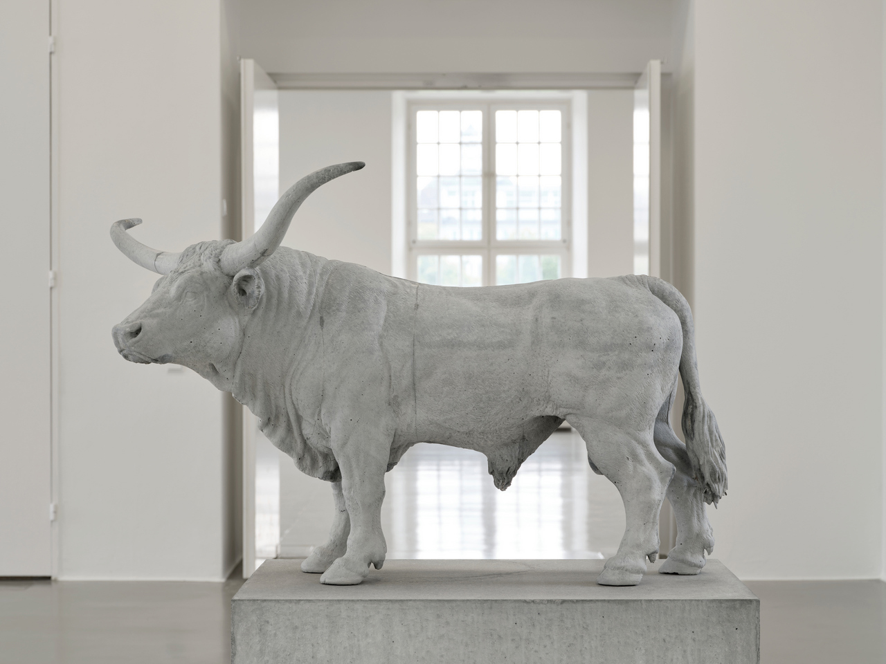 Charles Ray: Bull, 2026, Photo: Nicolas Wefers, (Installation view Fridericianum, Kassel), © Charles Ray, documenta und Museum FrideriCharles Ray: Bull, 2026, Photo: Nicolas Wefers, (Installation view Fridericianum, Kassel), © Charles Ray, documenta und Museum Fridericianum gGmbHcianum gGmbH