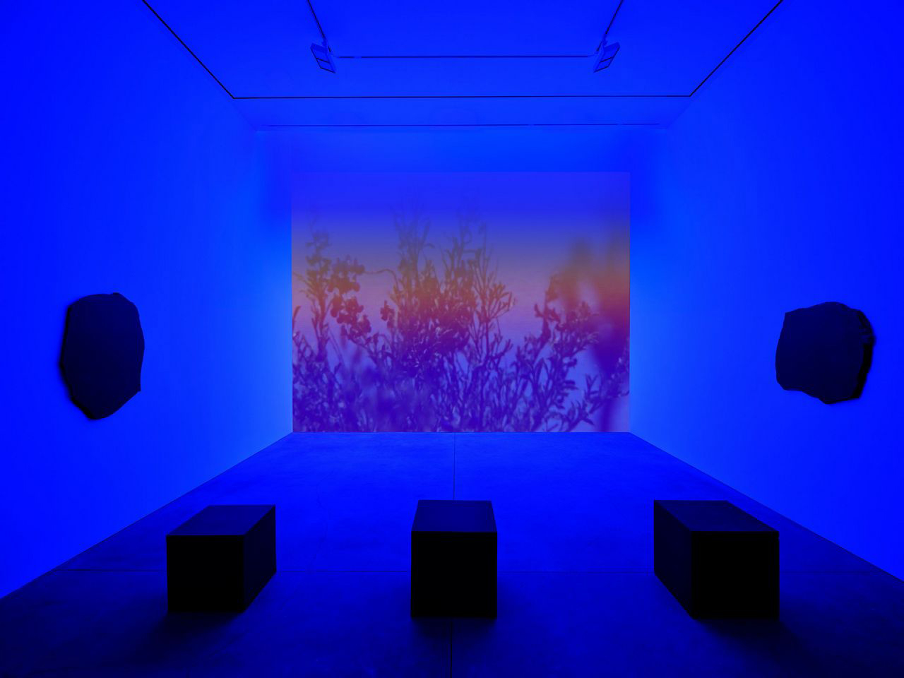 Cauleen Smith, Congo Blue, 2026; All the Stars are Closer, 2026; All the Stars Approach You, 2025, Polished black volcanic glass, two-channel digital video digitized 16mm, 7 min 27 sec, color, sound, Overall dimensions variable, © Cauleen Smith, courtesy the artist and David Zwirner Gallery