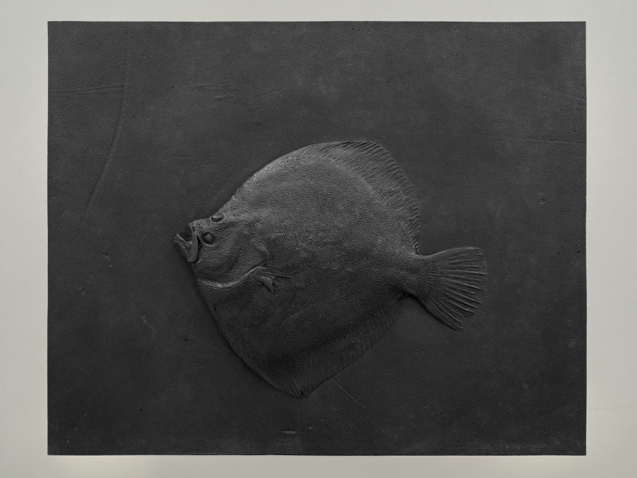 Charles Ray: Flounder (Detail), 2021, Photo: Nicolas Wefers (Installation view Fridericianum, Kassel), © Charles Ray, documenta und Museum Fridericianum gGmbH