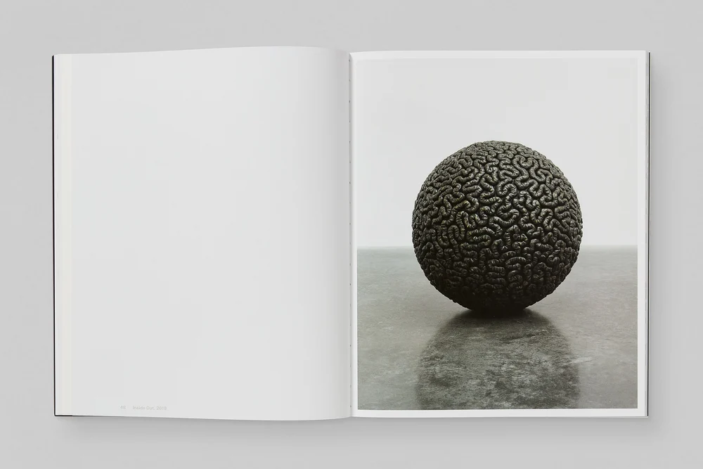 Mona Hatoum, Remains to be Seen (Special Edition), White Cube Books