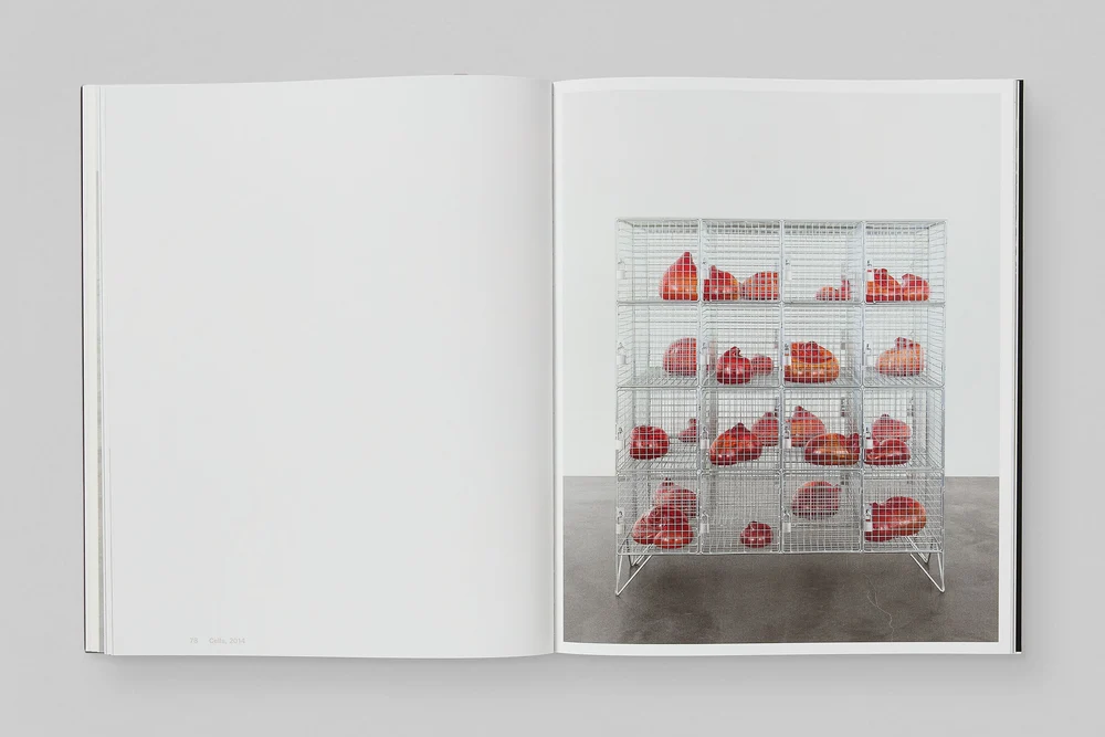 Mona Hatoum, Remains to be Seen (Special Edition), White Cube Books