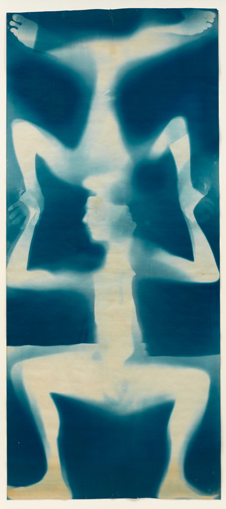 Robert Rauschenberg and Susan Weil, Untitled, 1950, Cyanotype, 82 1/2 × 36 1/4 inches (209.6 × 92.1 cm), © 2026 Robert Rauschenberg Foundation/Artists Rights Society (ARS), NY, Photo: Owen Conway, Courtesy Gagosian