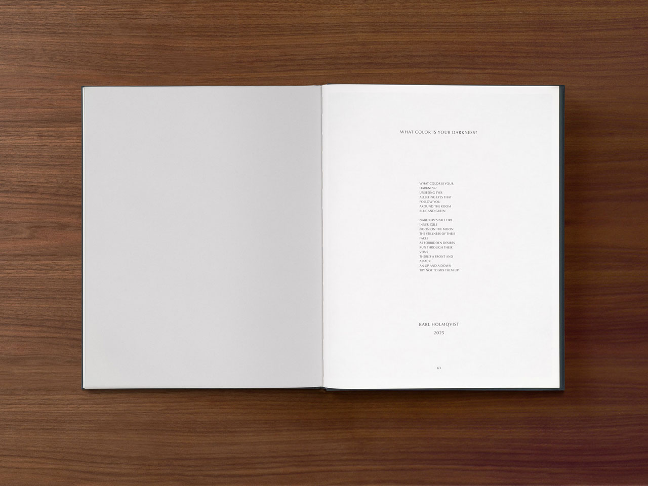 Victor Man, The Absence That We Are, David Zwirner Books