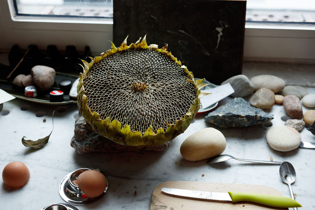 Wolfgang Tillmans , Sunflower Still-Life, 2020
